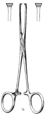 Allis-Baby Forcep