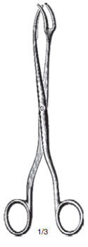 Sizing Forcep
