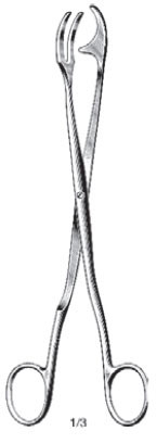 Rogge Forcep