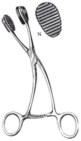 Young Tongue Holding Forcep