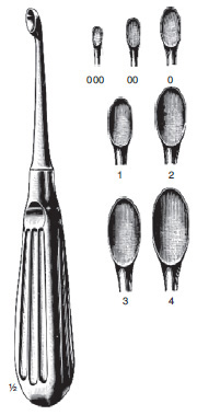 Schede Bone Curette