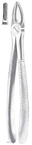 Extracting Forcep Fino