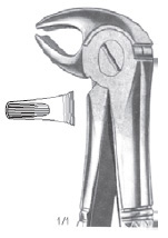 Extracting Forcep Fino