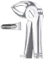 Extracting Forcep Fino