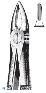 Extracting Forcep Fino