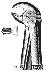 Extracting Forcep Fino