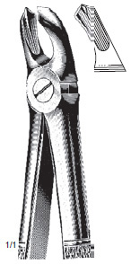 Extracting Forcep Fino