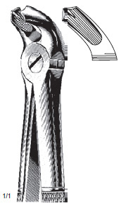 Extracting Forcep Fino