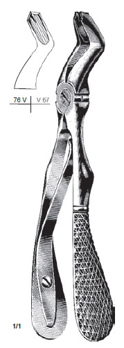 Klein Tooth Extracting Forcep for Children with Sp