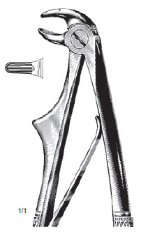Klein Tooth Extracting Forcep for Children with Sp
