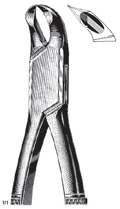 Woodward Extracting Forcep
