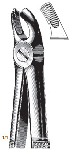 Cryer Extracting Forcep