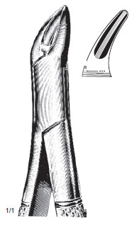 Cryer Extracting Forcep