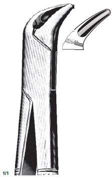 Cryer Extracting Forcep