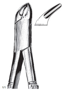Cryer Extracting Forcep