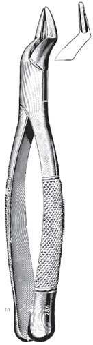 Extracting Forcep