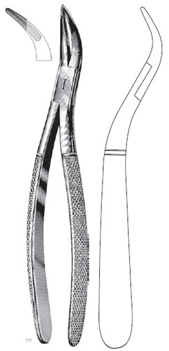 Witzel Root Fragment Forcep